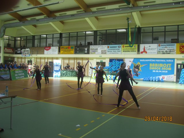 turta 557